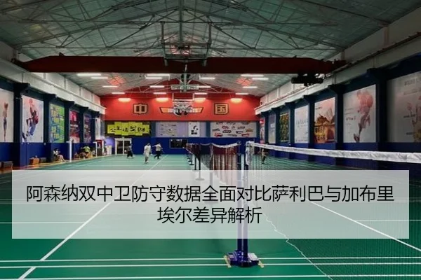 阿森纳双中卫防守数据全面对比萨利巴与加布里埃尔差异解析